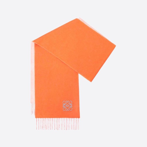 Wool and cashmere bicolor scarf Khaki Green/Ecru F810250X01